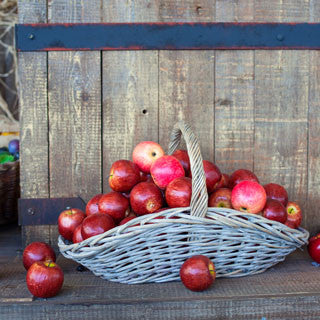 APPLE HARVEST COLLECTION