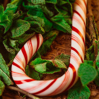 PEPPERMINT COLLECTION