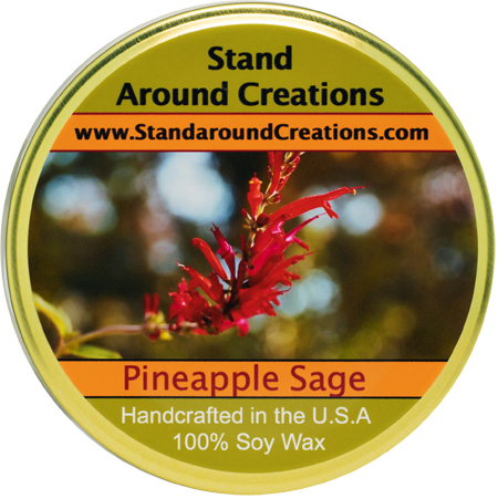 PINEAPPLE / SAGE TUREEN 11-OZ.