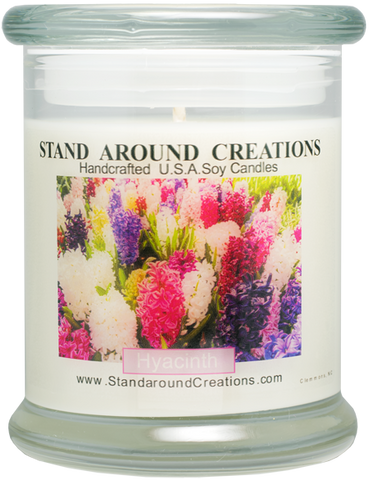 HYACINTH STATUS 12-OZ.