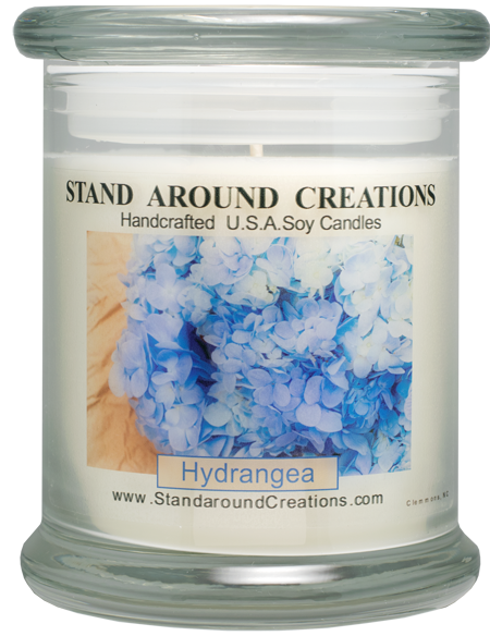HYDRANGEA STATUS 12-OZ.