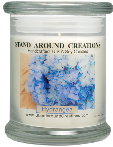 HYDRANGEA STATUS 12-OZ.
