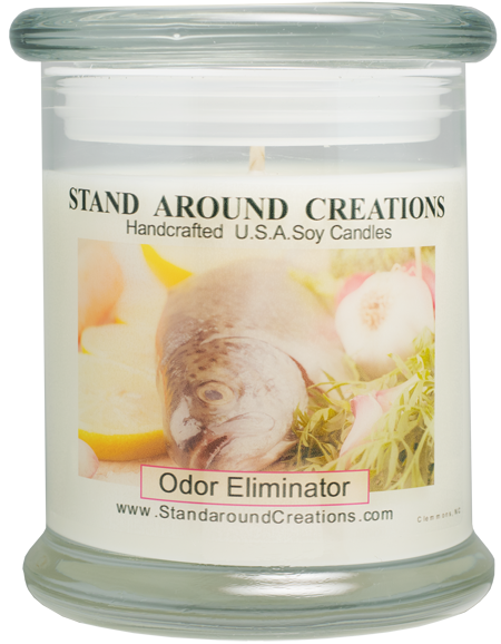 ODOR ELIMINATOR STATUS 12-OZ.