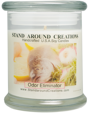 ODOR ELIMINATOR STATUS 12-OZ.