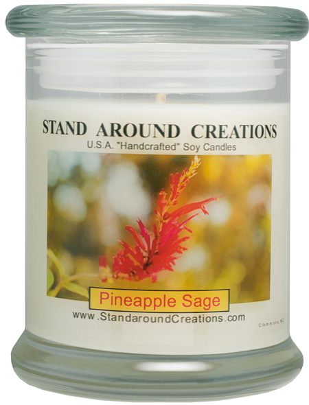 PINEAPPLE / SAGE STATUS 12-OZ.