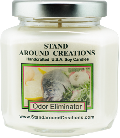 ODOR ELIMINATOR HEX 6-OZ.