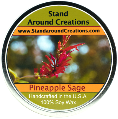 PINEAPPLE / SAGE TIN 16-OZ.